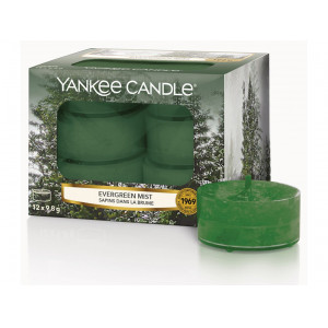  Yankee Candle Evergreen Mist 12 x 9,8 g